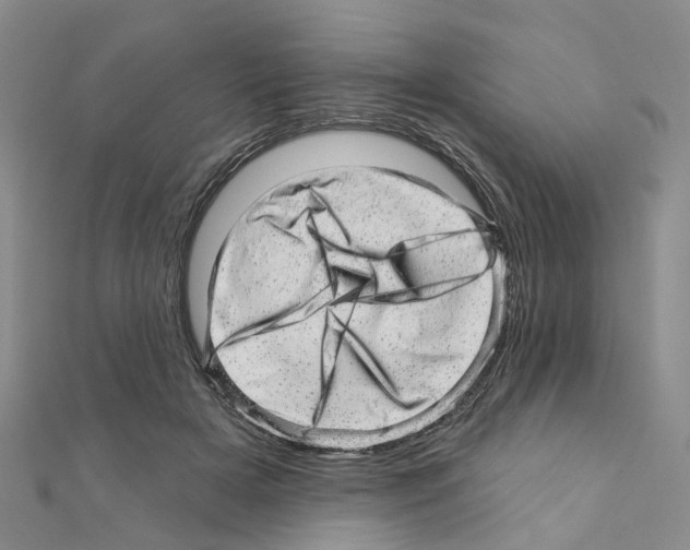 X0000110880505200907301437