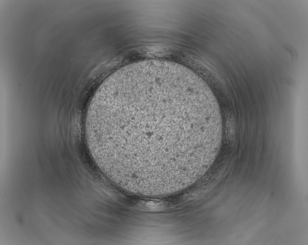 X0000110880506200907301437