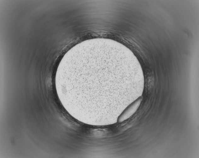 X0000110880508200907301437