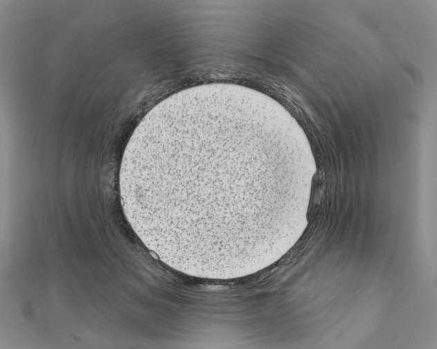 X0000110880509200907301437