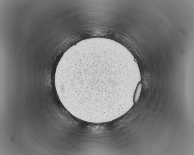 X0000110880512200907301437