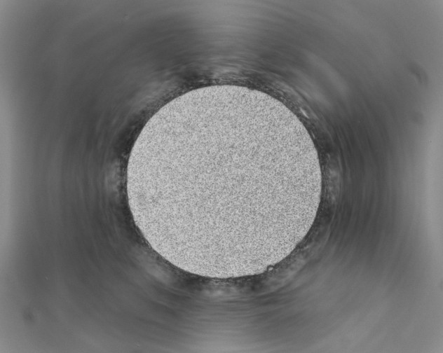 X0000110880519200907301436