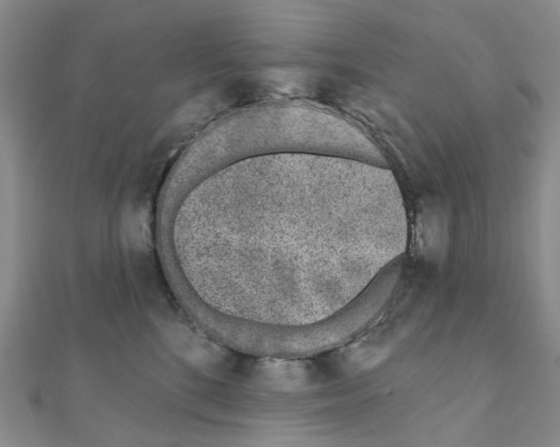 X0000110880520200907301436