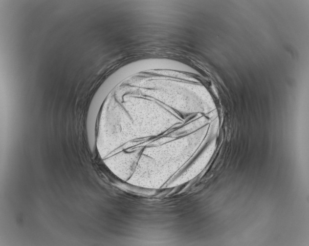 X0000110880521200907301436