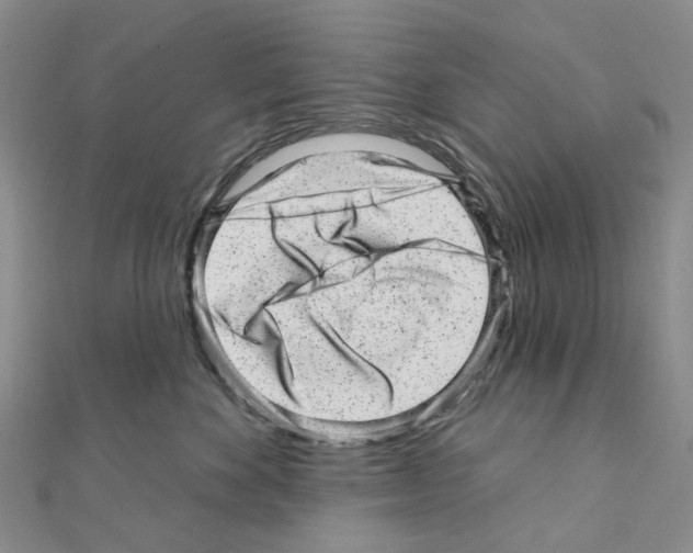 X0000110880524200907301436