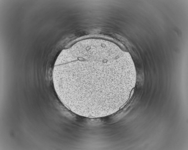 X0000110880525200907301436