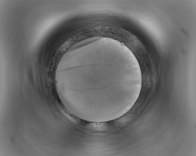 X0000110880526200907301436