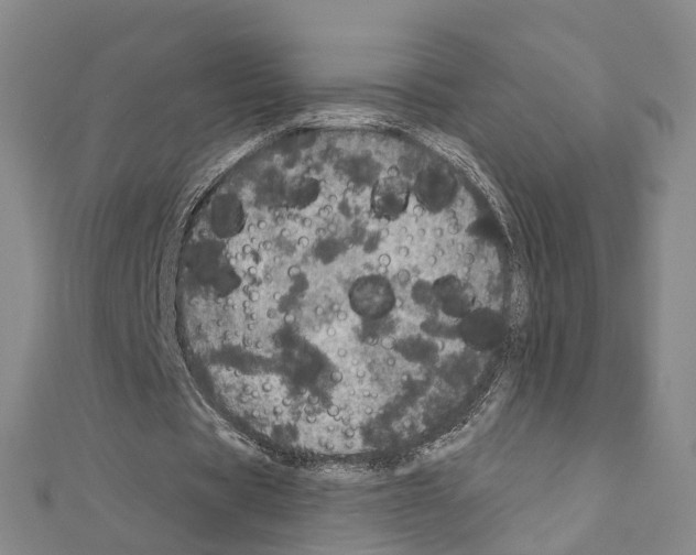 X0000110880529200907301436