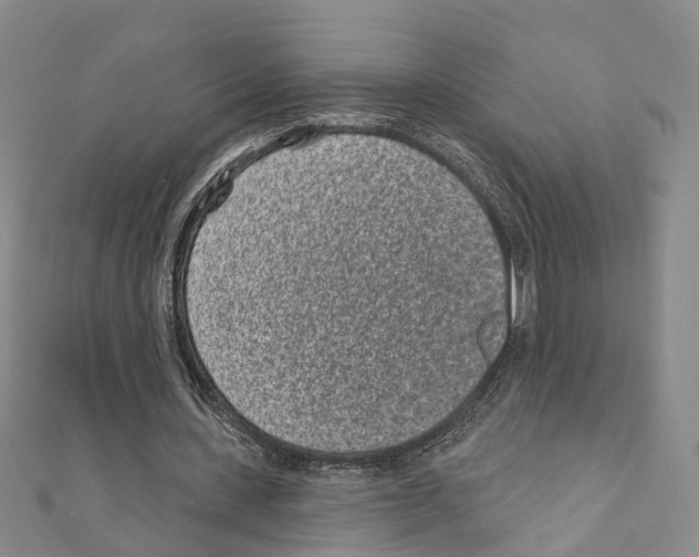 X0000110880531200907301436