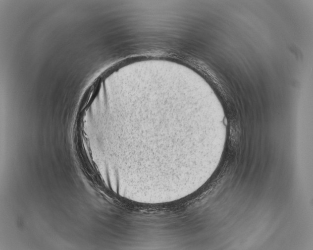 X0000110880532200907301436