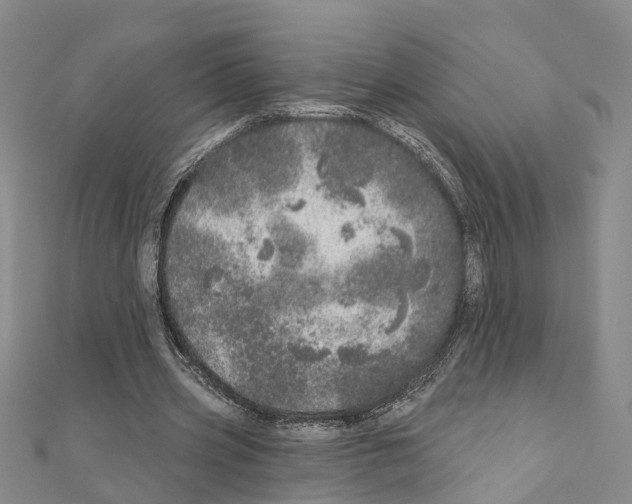 X0000110880533200907301436