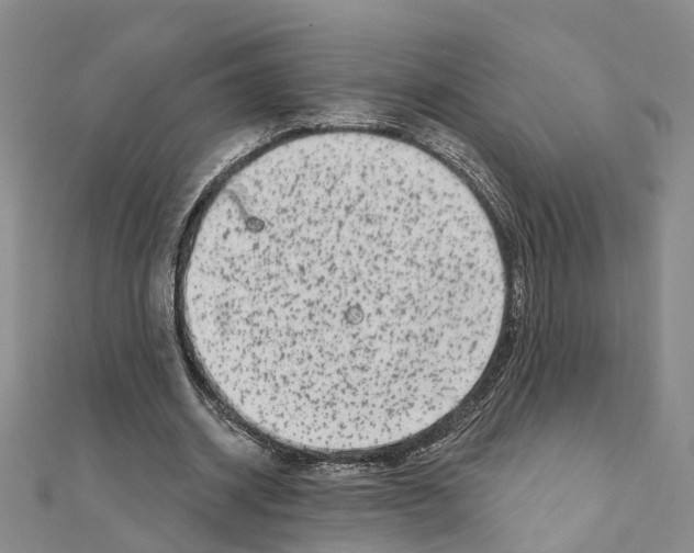 X0000110880534200907301436