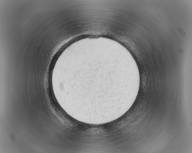 X0000110880536200907301436