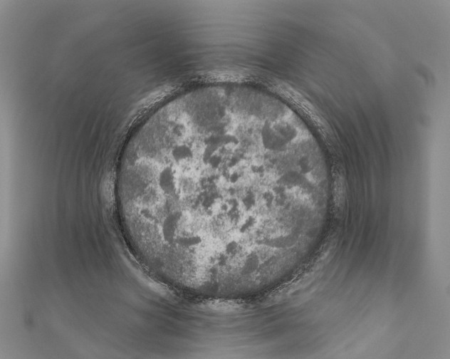 X0000110880537200907301436