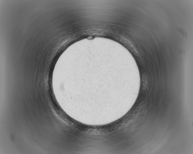 X0000110880538200907301436