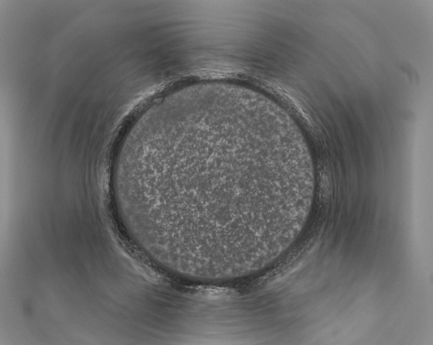 X0000110880539200907301436