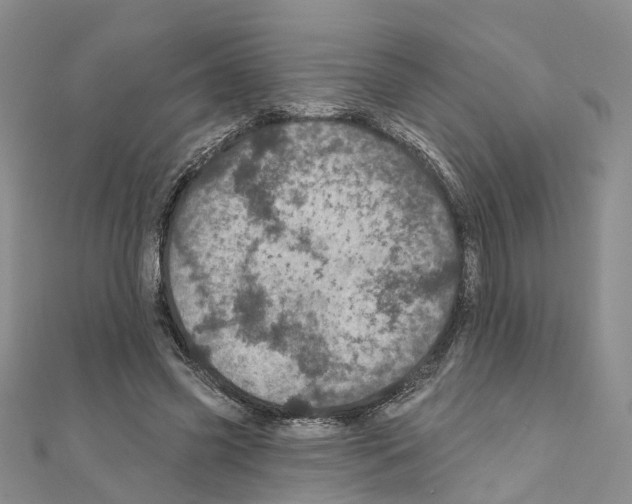 X0000110880541200907301436