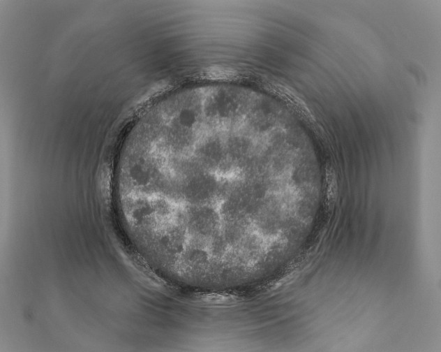 X0000110880542200907301436