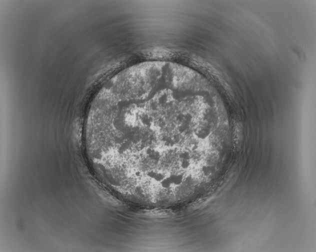 X0000110880545200907301436