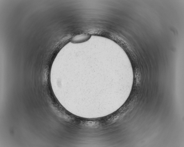 X0000110880546200907301436