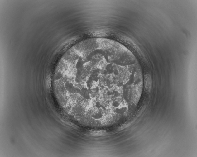 X0000110880549200907301436