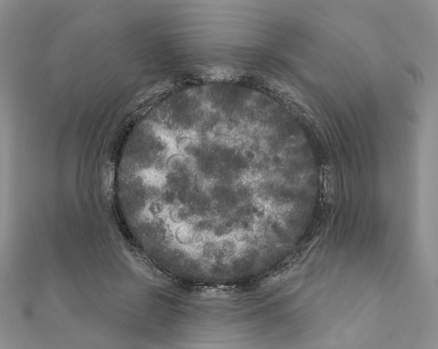 X0000110880550200907301436