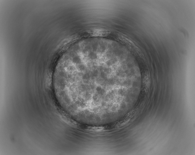 X0000110880554200907301436