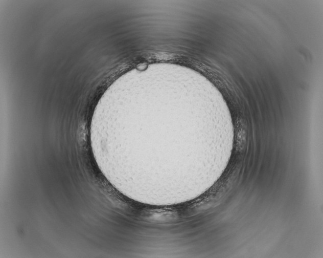 X0000110880555200907301436