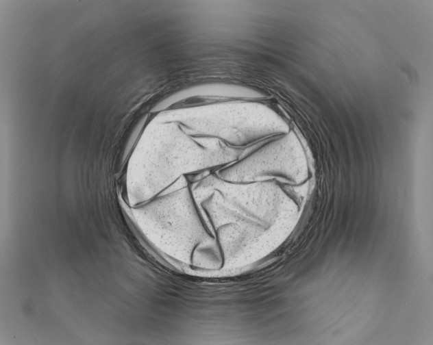 X0000110880556200907301436