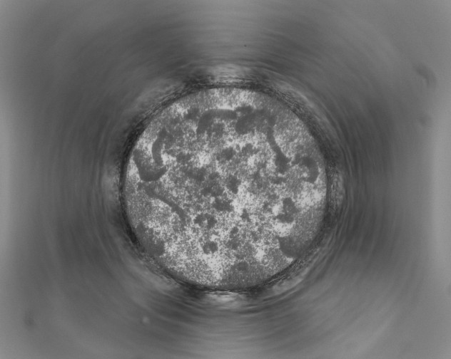 X0000110880557200907301436