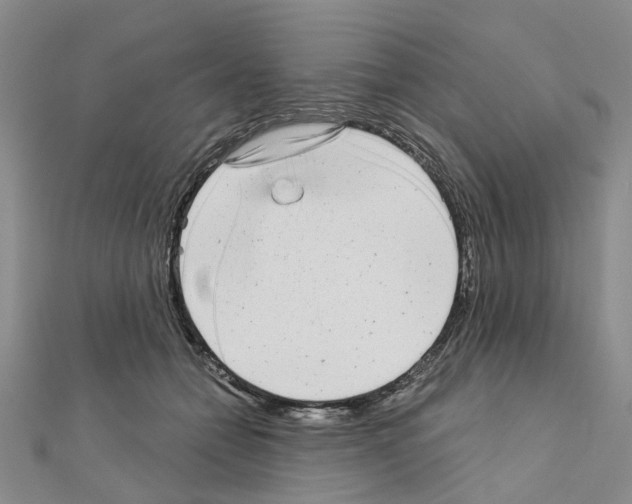 X0000110880558200907301436