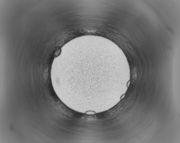 X0000110880559200907301436