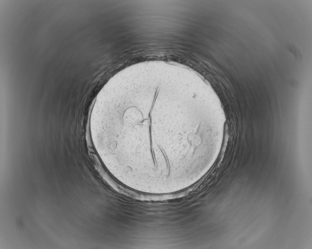 X0000110880560200907301436