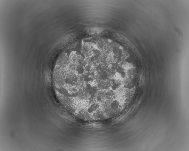 X0000110880561200907301436