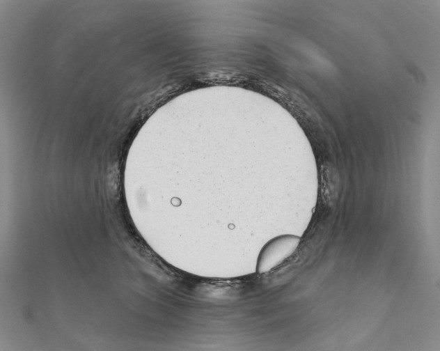 X0000110880563200907301436