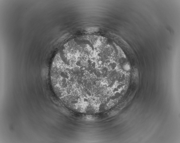 X0000110880565200907301436