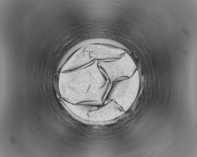 X0000110880566200907301436