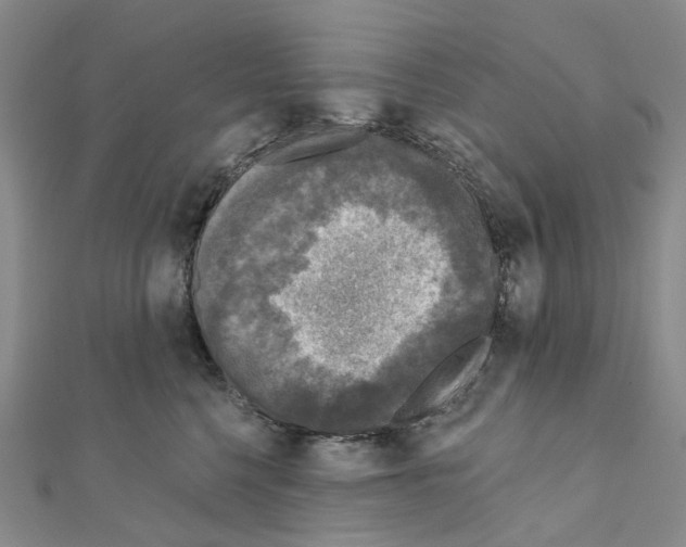 X0000110880568200907301436