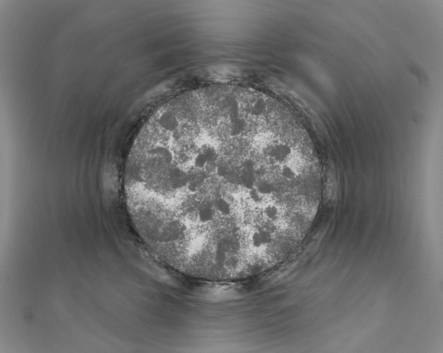 X0000110880569200907301436