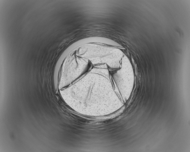 X0000110880570200907301436