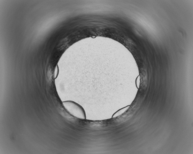 X0000110880574200907301436