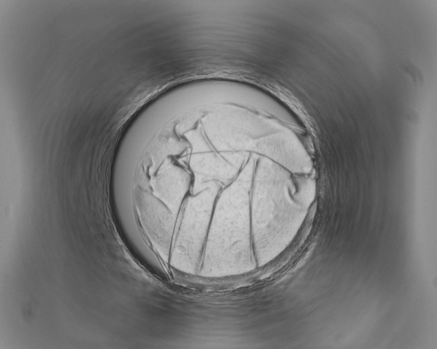 X0000110880577200907301436