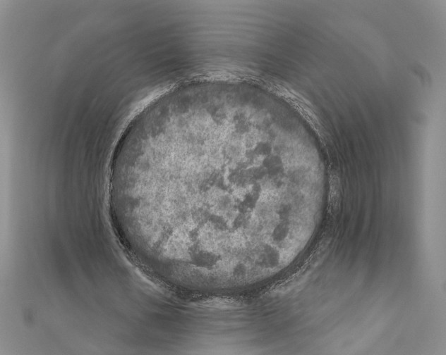 X0000110880578200907301436