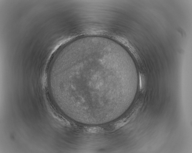 X0000110880579200907301435