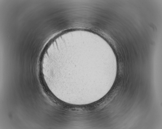 X0000110880580200907301435