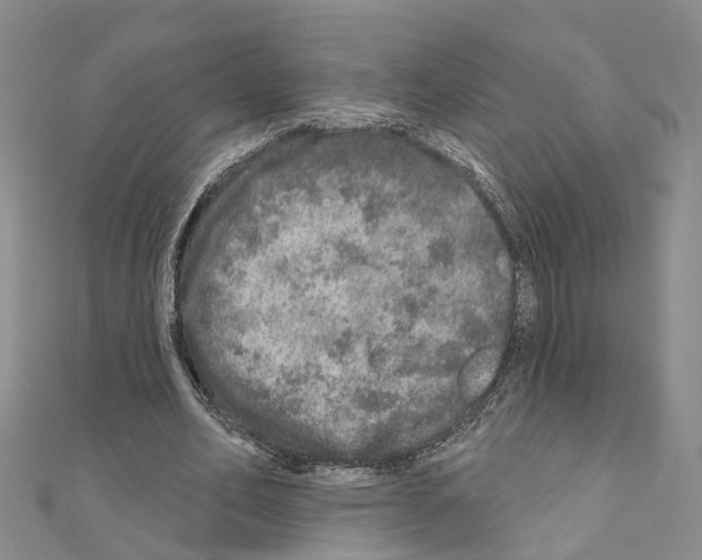 X0000110880582200907301435