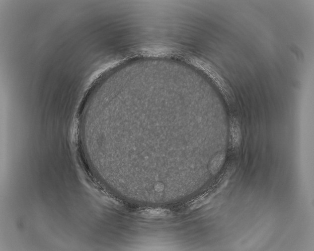 X0000110880583200907301435