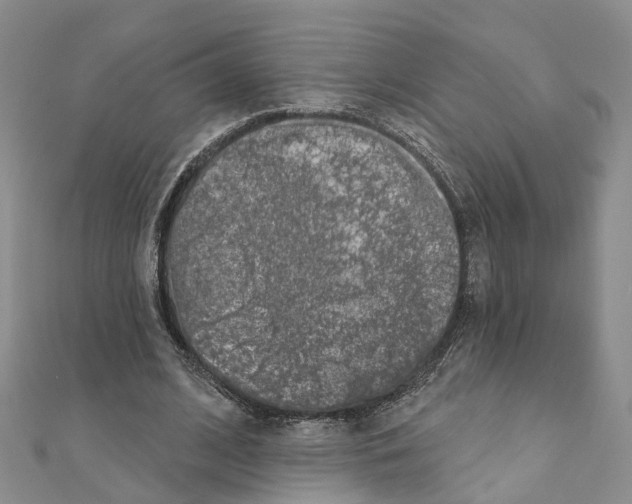 X0000110880584200907301435