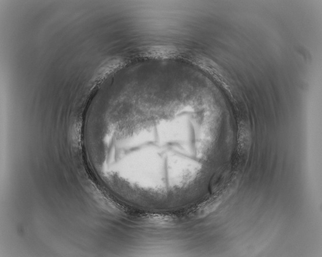 X0000110880585200907301435