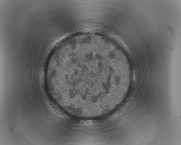 X0000110880588200907301435